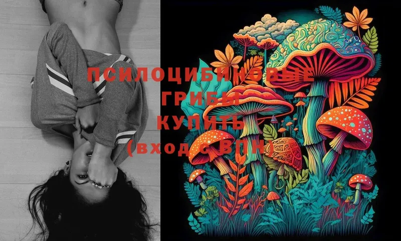 Псилоцибиновые грибы Magic Shrooms  как найти наркотики  Губкин 